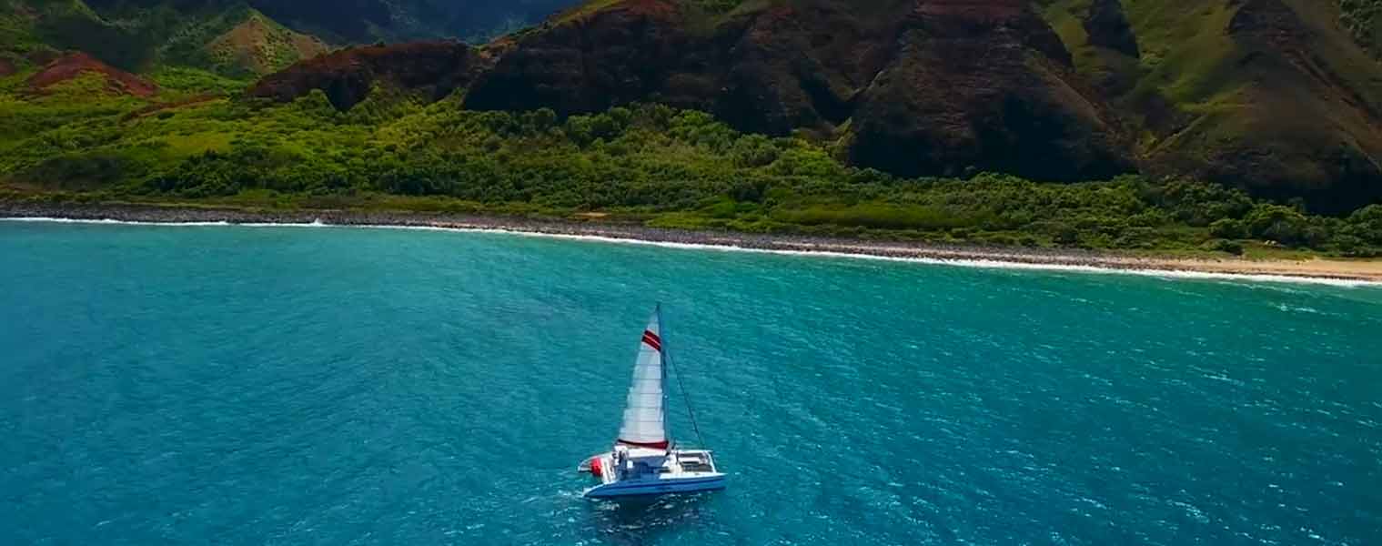 Hawaiian Eye Tours 2023 Banner
